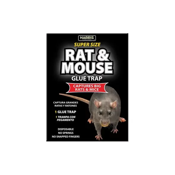 Harris 1pk Black Rat Glue Board