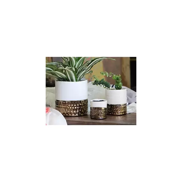 Jewel 5.5" Cache Pot Ivw