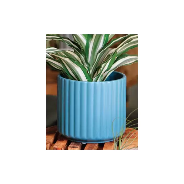 Palm Spring 6.5" Brush Comb Dnm Planter