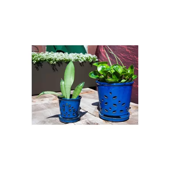 Verandah 6" F Blue Waikiki Orchid Pot