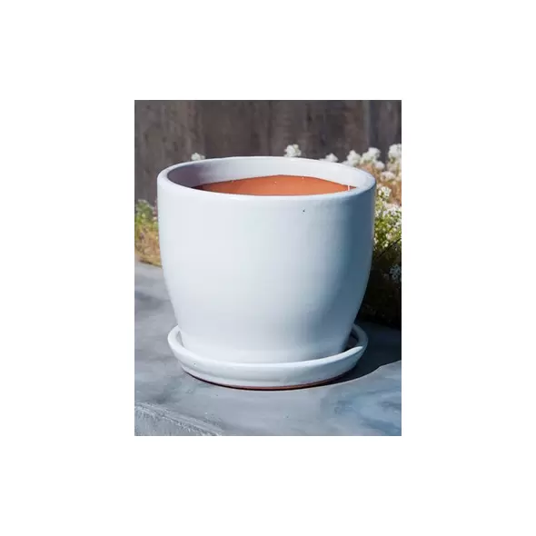 Verandah 8.5"x7.5" Lily Wsp
