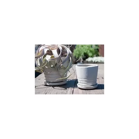Verandah 7.5" Wsp Kona Pot