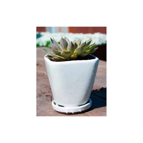 Verandah Oahu Size B Wsp