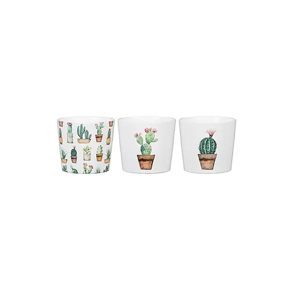 Scheurich 2.75" Cactus Gdn Asst 870/07 Planter