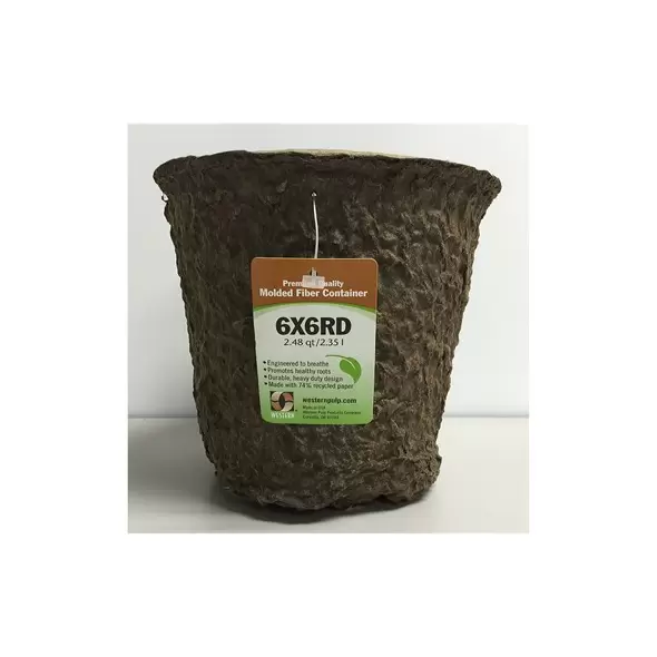 Western Pulp 6x6 Round Retail Container w/UPC, 2.48qt, 24/CS