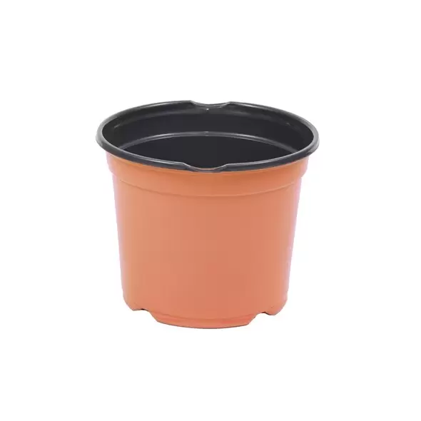 JAN 19CM L 08.00 POT BLK/TC 360/CS 16CS/PL