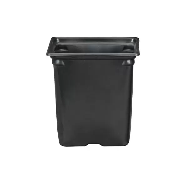 DLN M6 SQ COEX BLK/BLK 468/CS 36CS/PL