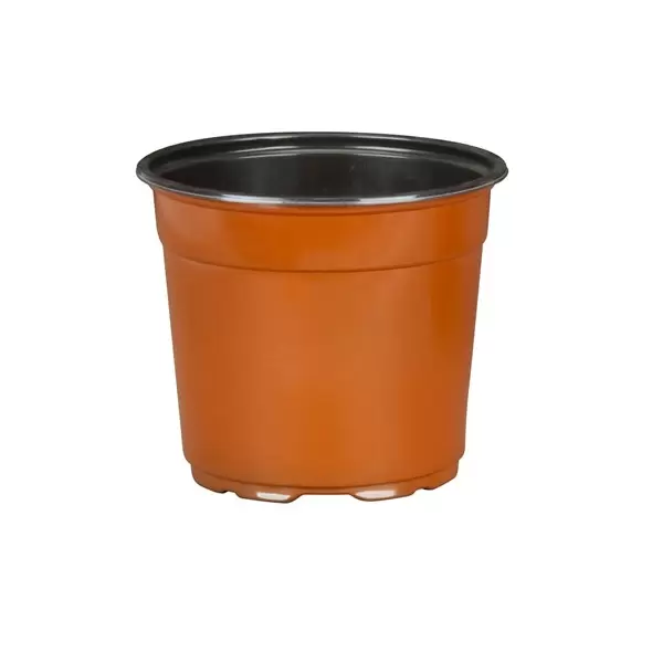 DLN 17.00 CM EURO POT COEX TALL TC 294/CS 32CS/PL