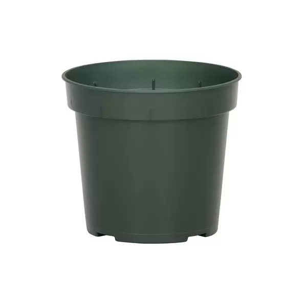 DLN 04.50 RND GER T/W 300GN 850/CS 38CS/PL