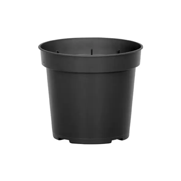 DLN 04.50 RND GER T/W BLK 850/CS 38CS/PL
