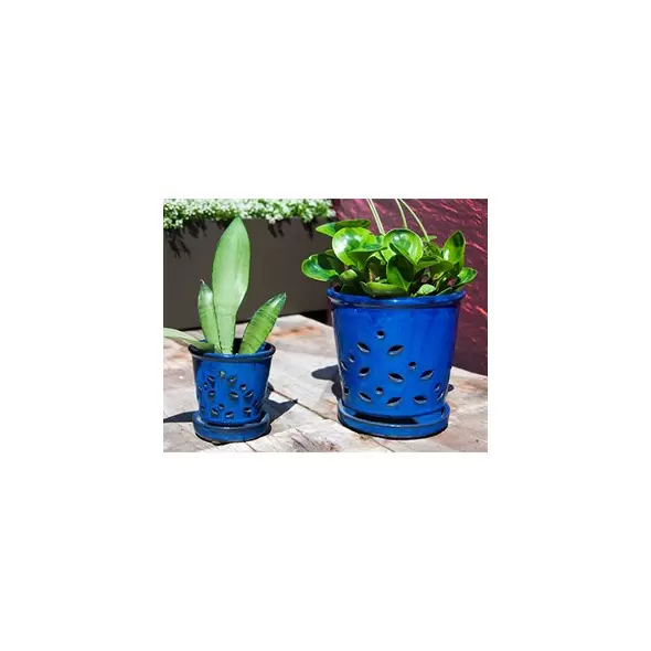 Verandah 7.5" F Blue Waikiki Orchid Pot