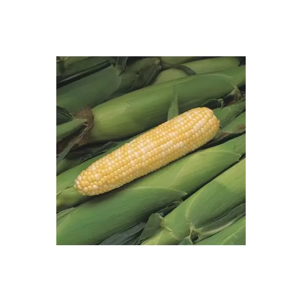 Corn, Peaches & Cream - 1lb