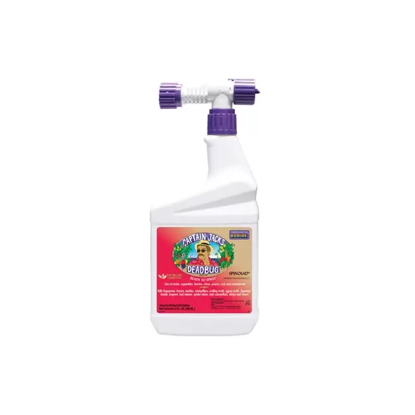 Bonide Qt Dead Bug Brew RTS With Hose End Sprayer