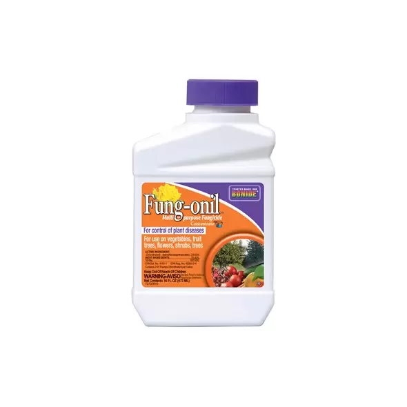 Bonide Pt Liquid Fungonil w/ Daconil Fungicide
