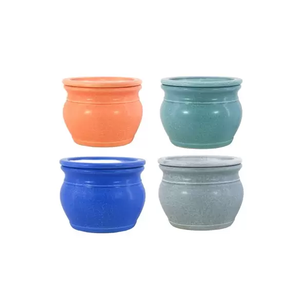 MCarr 8PC 6" Self Water Round Pot Asst