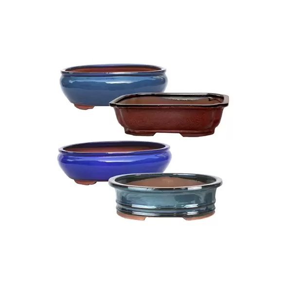 MCarr 4PC 12" Bonsai Planter Set Mixed Colors