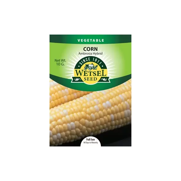 Corn, Ambrosia - 10 Gram