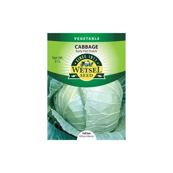CABBAGE, EARLY FLAT DUTCH 2 G.
