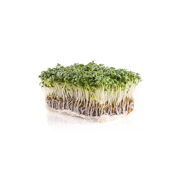 Microgreens, Upland Cress - 3.5 Gram