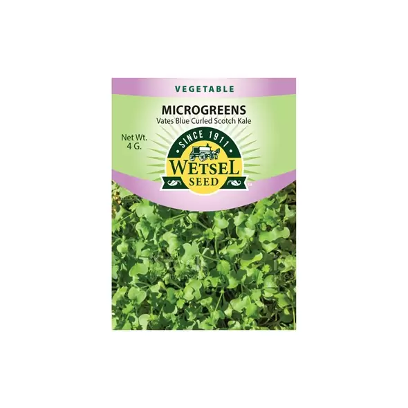 Microgreens, Vates Blue Curled Scotch Kale - 4 Gram