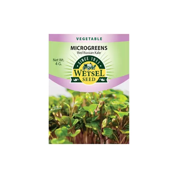 Microgreens, Red Russian Kale - 4 Gram