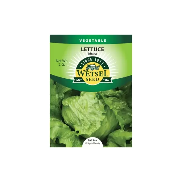 Lettuce, Ithaca - 2 Gram