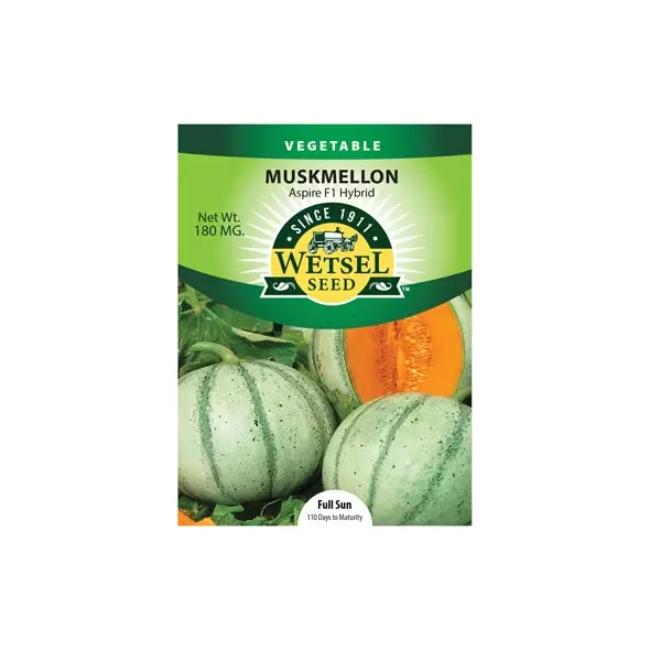 Cantaloupe , Aspire F1 Hybrid - 180 mg