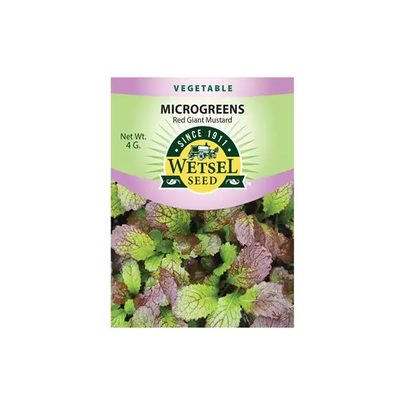 Microgreens, Red Giant Mustard - 4 Gram