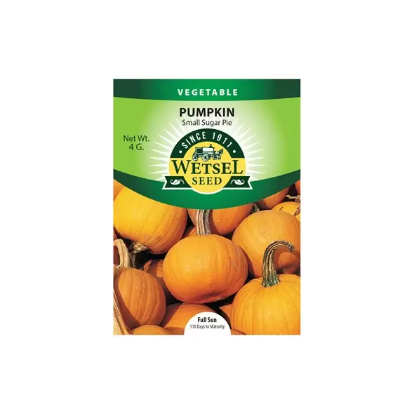 Pumpkin, Small Sugar Pie - 4 Gram
