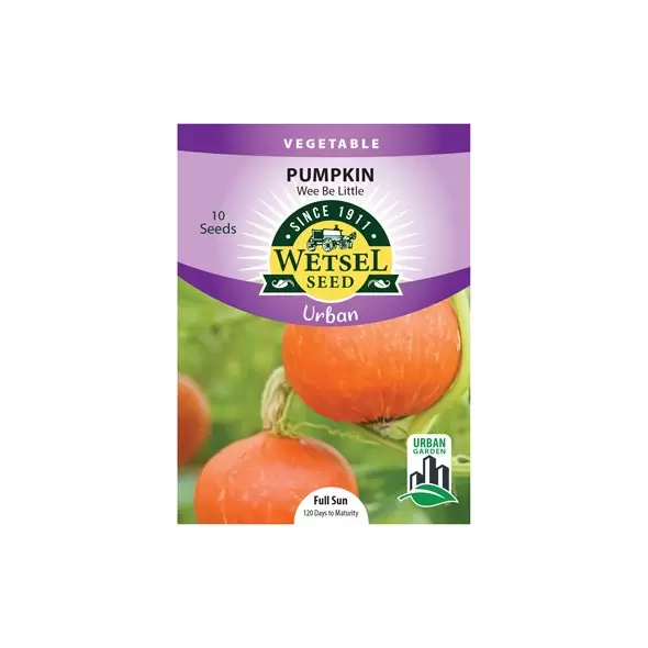 Pumpkin, Wee Be Little (Patio) - 10 Seeds