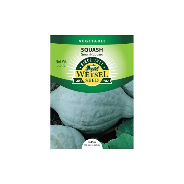 Squash, Improved Green Hubbard - 3.5 grams