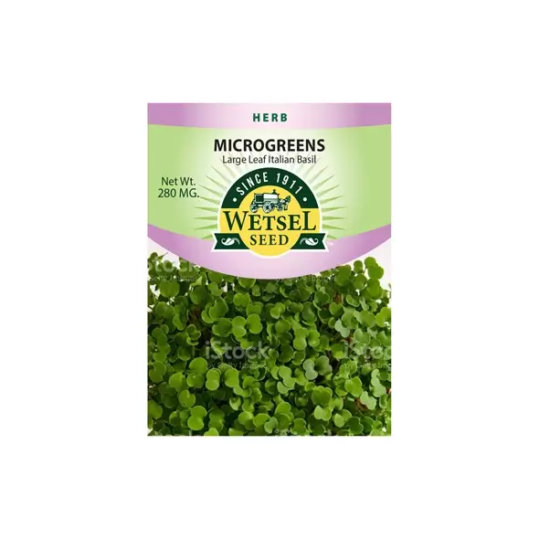 Microgreens, Large Leaf Italian Basil - 280 Mg