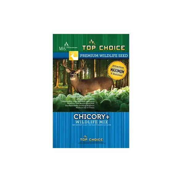 Top Choice Chicory Plus Mix 2
