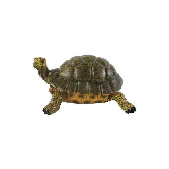 MCarr Turtle Medium
