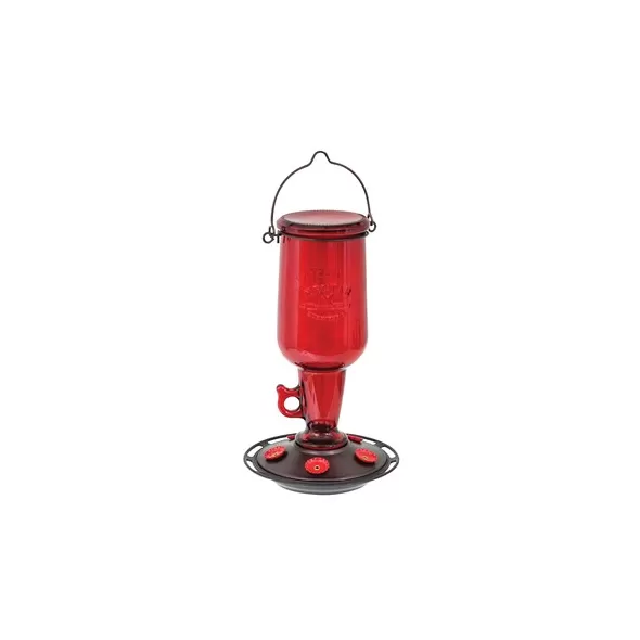 Classic 23oz Jug Glass Hummingbird Feeder 5 Ports