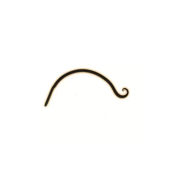 Hookery 12" Curved Hanger w/ Upturned Hook