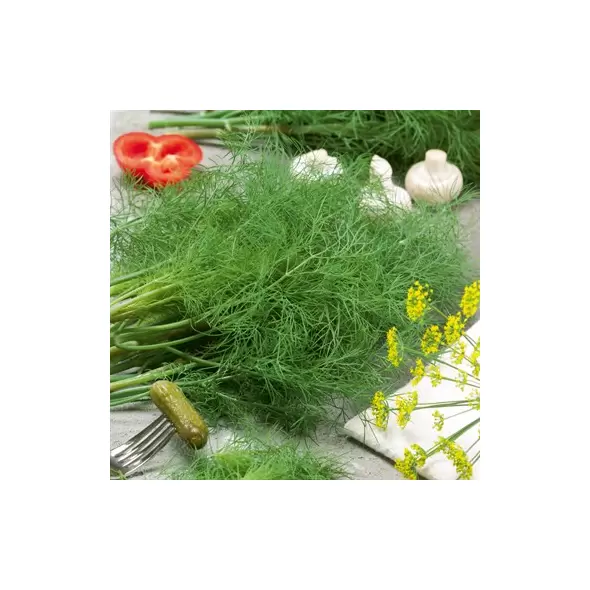 Dill, Dukat 1/2 oz