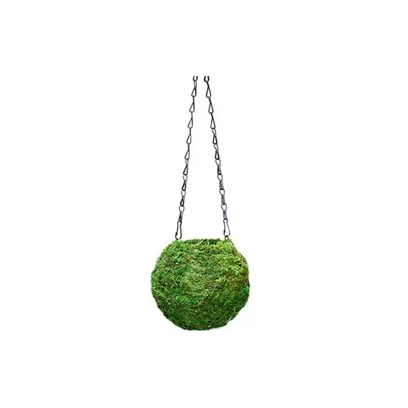 SuperMoss 4" Kokedama Green Moss Ball Planter