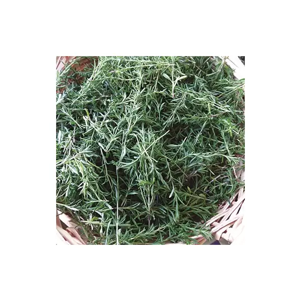 Winter Savory 1 oz