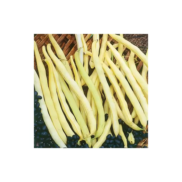 Beans, Pencil Pod Black Wax - 25lb