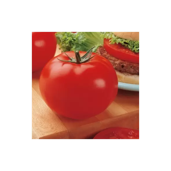 Tomato, Big Beef Untreated - 5000 Sd Ct