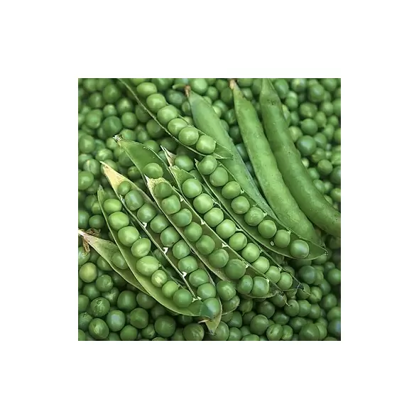 Peas, Green Arrow - 25lb