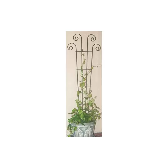 Panacea 60" Green Wave Trellis