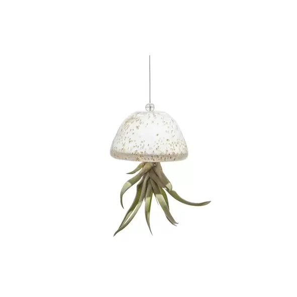 APM Air Plant Jellyfish White/Gold