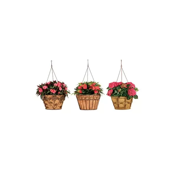 Deer Park Hanging Basket Variety Pk 2 Floral Daisy Ribbon Arch