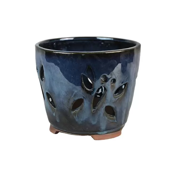 MCarr 5.1" Butterfly Orchid Pot Ocean Blue