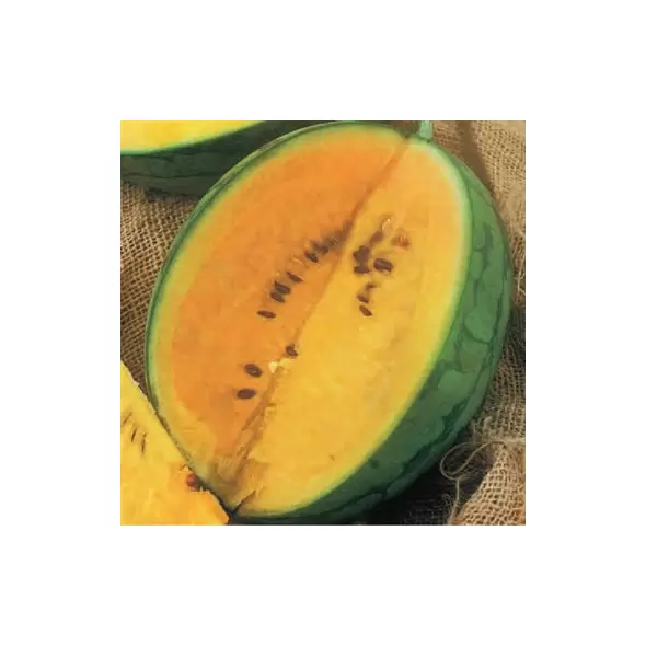 Watermelon, Yellow Doll Hybrid - 1,000 Seed Count