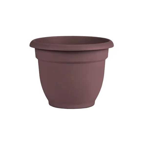 Bloem 12" Ariana w/ Grid Planter Merlot