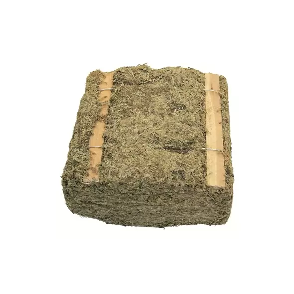 SuperMoss 3.5