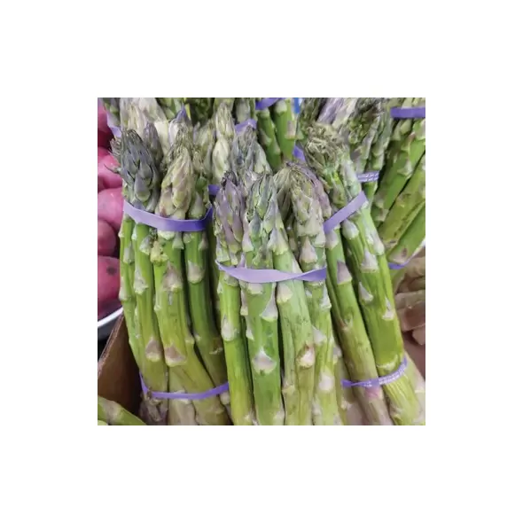 Asparagus, Mary Washington - 1/2oz
